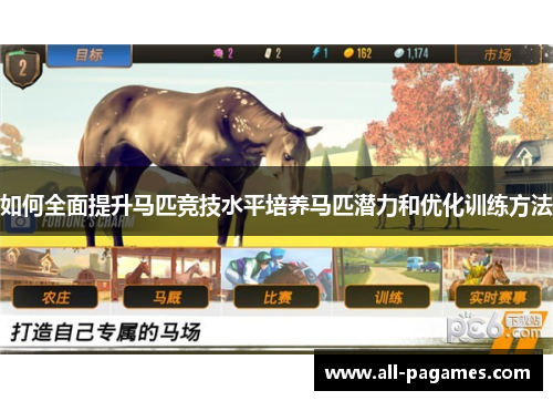 如何全面提升马匹竞技水平培养马匹潜力和优化训练方法
