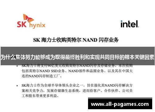 为什么集体努力能够成为取得最终胜利和实现共同目标的根本关键因素