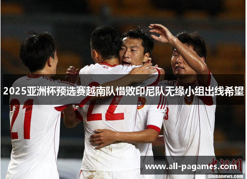 2025亚洲杯预选赛越南队惜败印尼队无缘小组出线希望 2025亚洲杯预选赛越南队惜败印尼队无缘小组出线希望